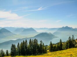 Czy komornik może zająć całą wypłatę z konta?