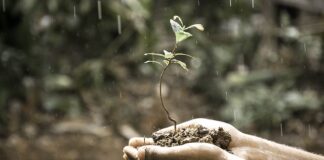 Dlaczego Rozwój zawodowy jest ważny?