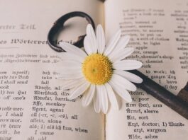 Ile zarabia się jako tłumacz?