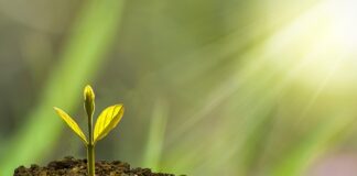 Co to rozwój osobisty i zawodowy?