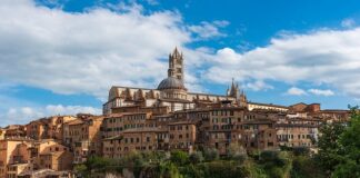 Kto pisze plan rozwoju zawodowego?