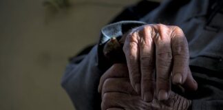 Co to są plany zawodowe?