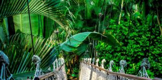 Czy opłaca się robić kursy Google?