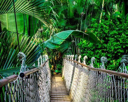 Czy opłaca się robić kursy Google?