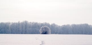 Jaki jest sens posiadania karty kredytowej?