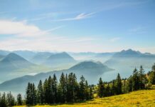 W jakim banku komornik nie wejdzie na konto?