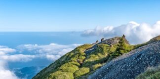 Jaka jest różnica między komputerem a serwerem?