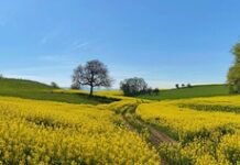 Jakie wymiary ma banner? Jakie wymiary ma banner?