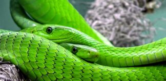 Co to znaczy 6% w skali roku?