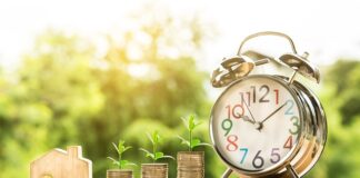 Ile wynosi pensja profesora?