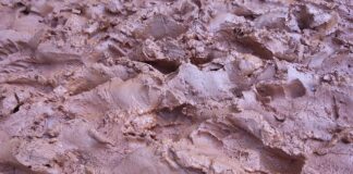 Jaki program do prowadzenia budżetu domowego?