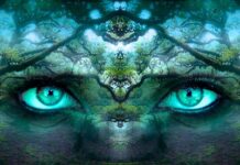 Co składa się na tożsamość firmy?