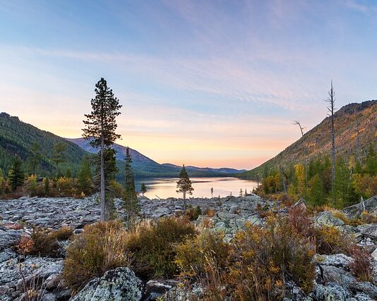 Jakie mogą być szumy w komunikacji?