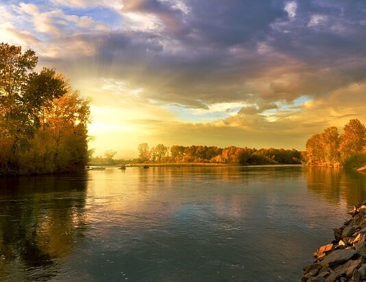 Co oznaczają kolory kart?