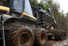 Jak zostać spedytorem bez studiów? Jak zostać spedytorem bez studiów?