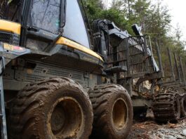 Jak zostać spedytorem bez studiów?