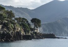 Ile kosztuje wizytówka w Google? Ile kosztuje wizytówka w Google?