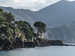 Ile kosztuje wizytówka w Google?