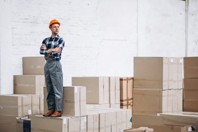 Jakie są rodzaje bandownic